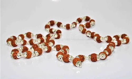 5 Mukhi Rudraksha Silver Chain Mala (54+1 Beads) - Rudraksham0m5 Mukhi Rudraksha Silver Chain Mala (54+1 Beads)Rudraksham