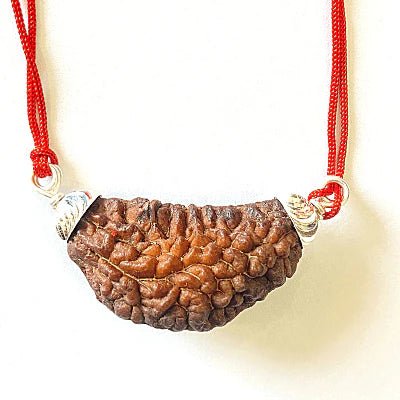 Natural 1 Mukhi Rudraksha – Rare & Authentic - Rudraksham0mNatural 1 Mukhi Rudraksha – Rare & AuthenticRudraksham