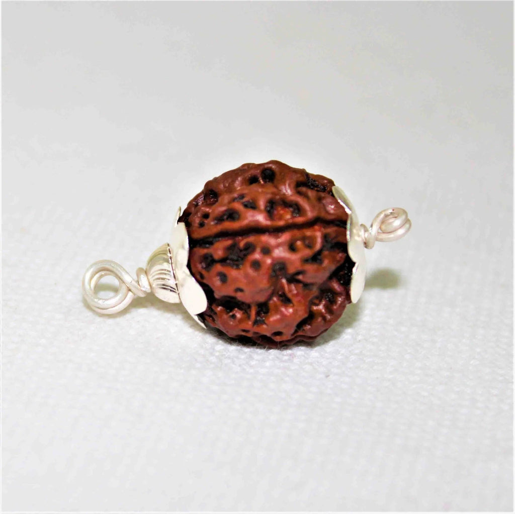 Natural 4 Mukhi Rudraksha (Nepal Origin) - Rudraksham0mNatural 4 Mukhi Rudraksha (Nepal Origin)Rudraksham