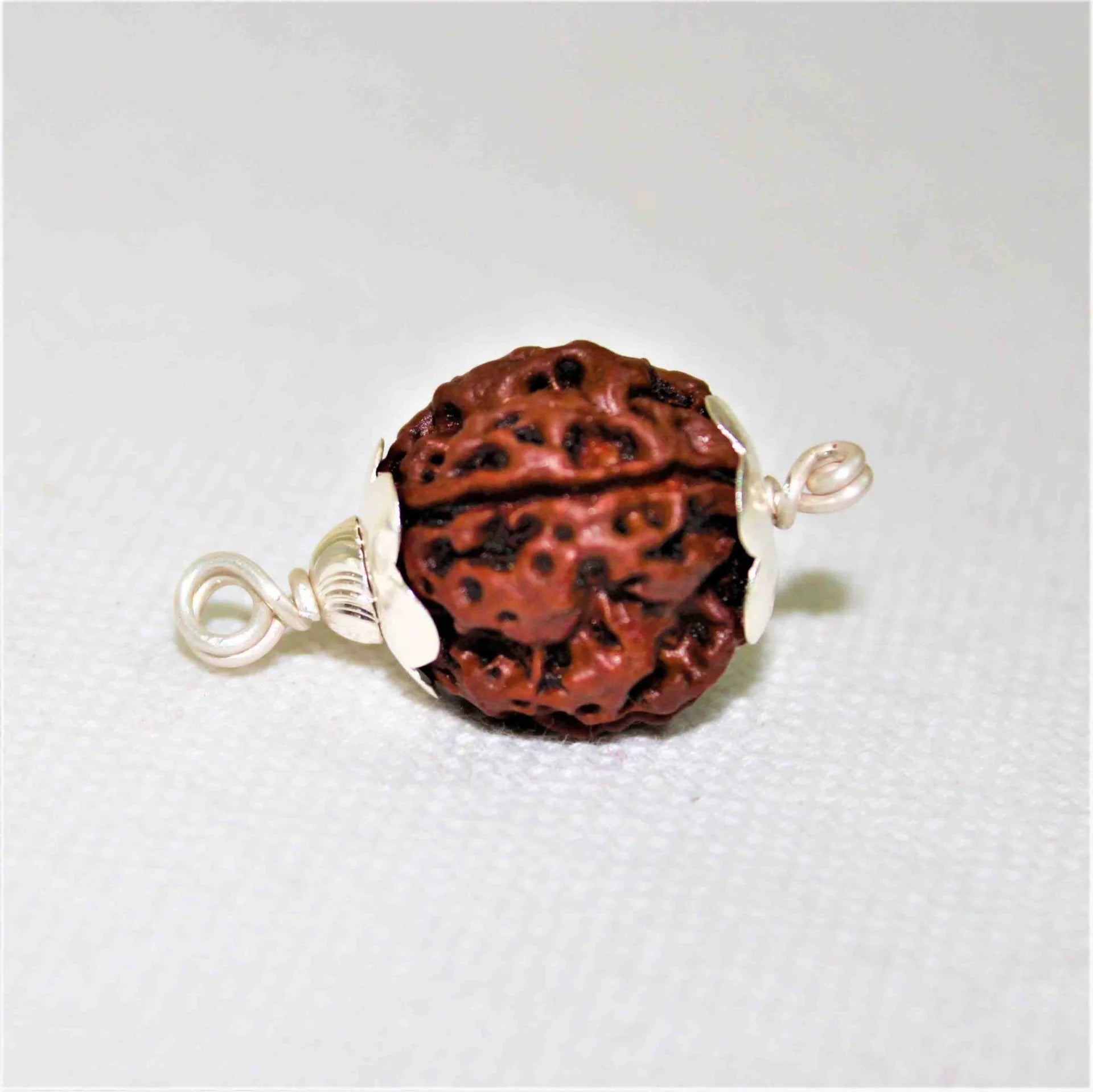Natural 4 Mukhi Rudraksha (Nepal Origin) - Rudraksham0mNatural 4 Mukhi Rudraksha (Nepal Origin)Rudraksham