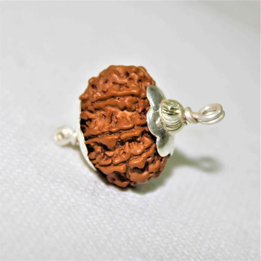 Natural 7 Mukhi Rudraksha (Nepal Origin – 19.00 mm) - Rudraksham0mNatural 7 Mukhi Rudraksha (Nepal Origin – 19.00 mm)Rudraksham