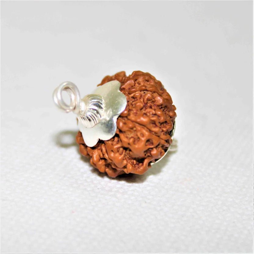 Natural 7 Mukhi Rudraksha (Nepal Origin – 19.00 mm) - Rudraksham0mNatural 7 Mukhi Rudraksha (Nepal Origin – 19.00 mm)Rudraksham